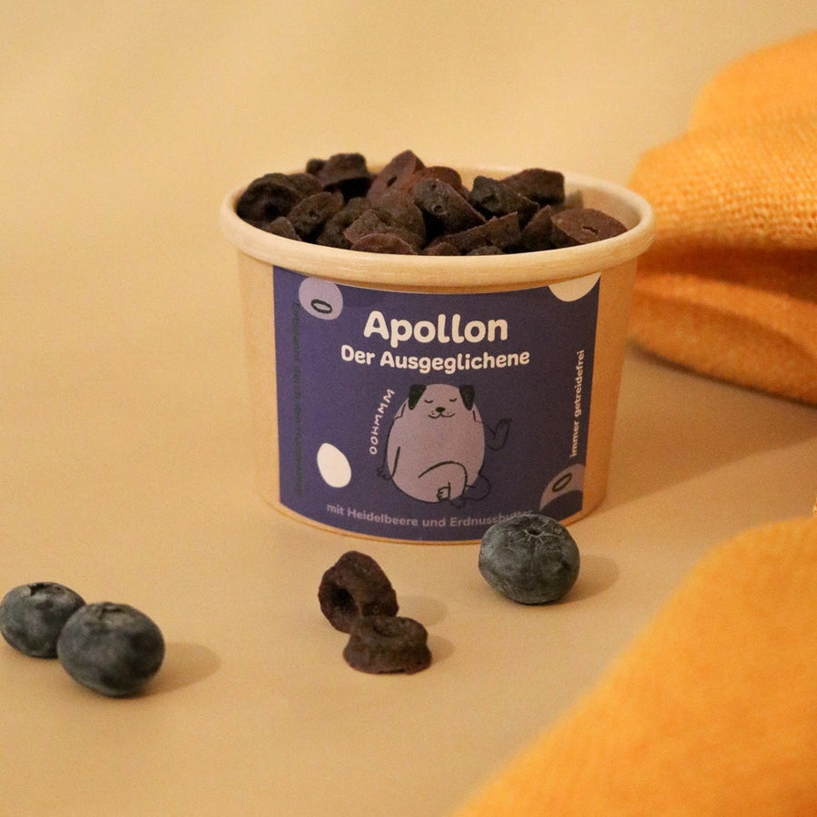 Apollon