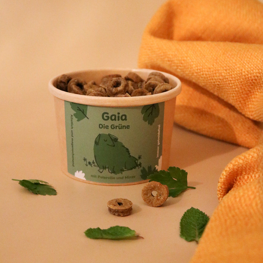 Gaia